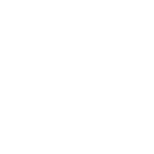 Logo Campamento Urbano NSD